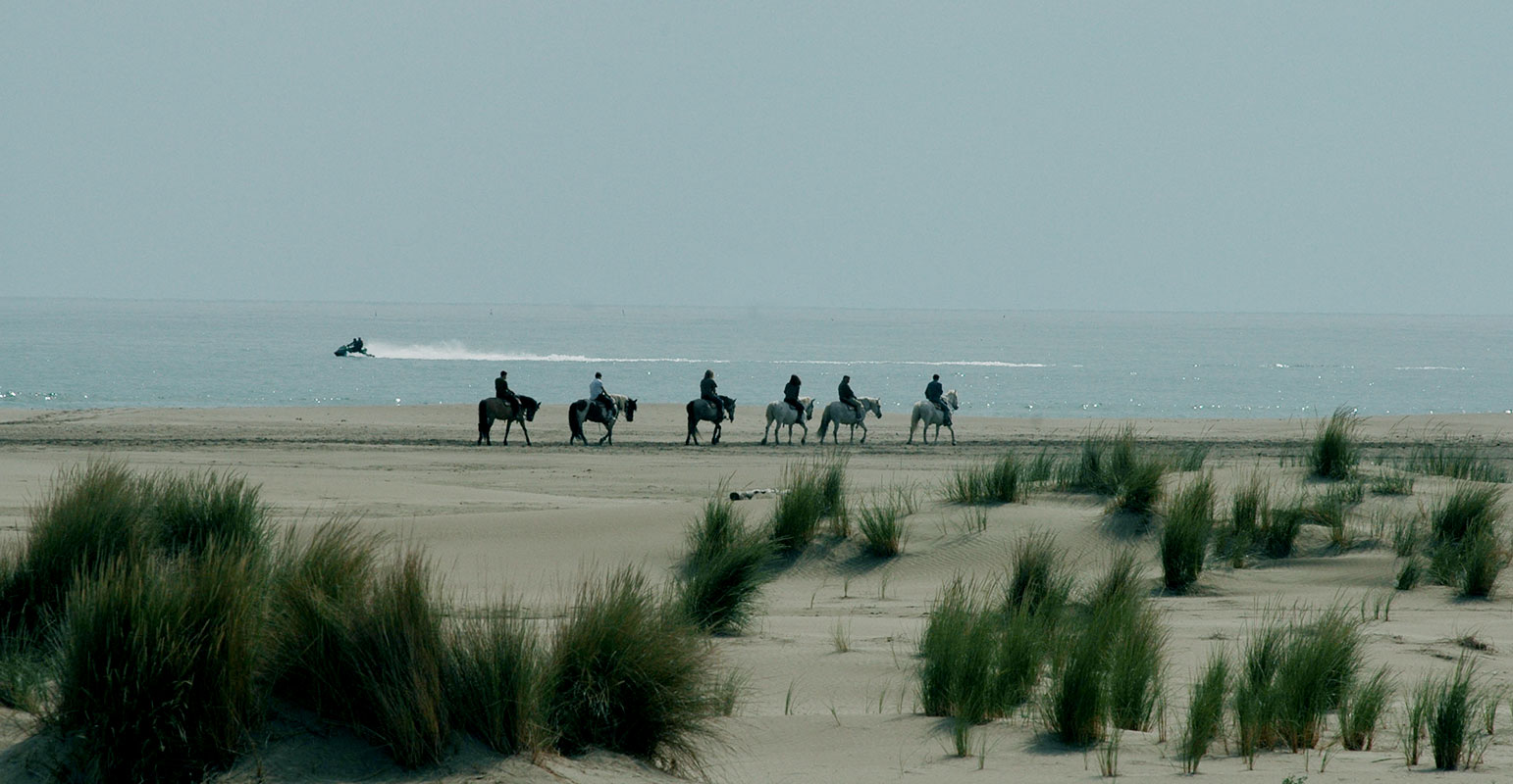 Visit of the Wild Coast