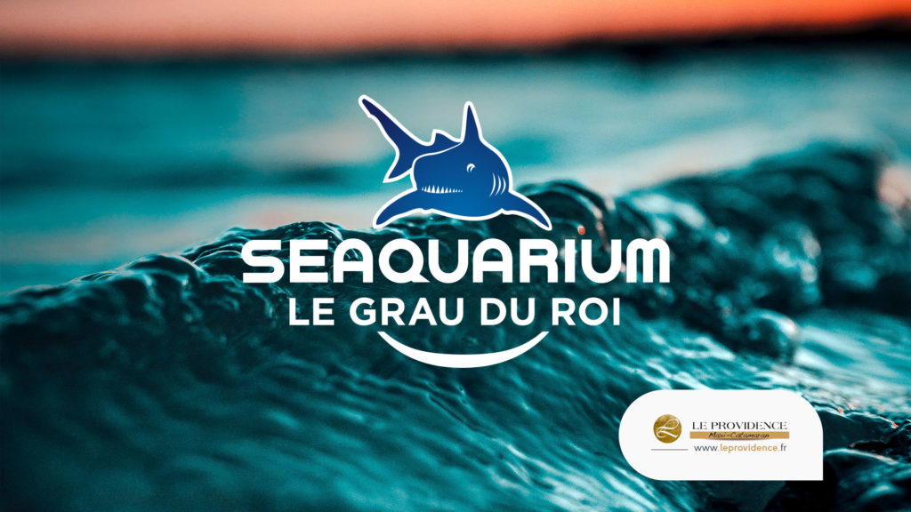 seaquarium du grau du roi - catamaran le providence au grau du roi