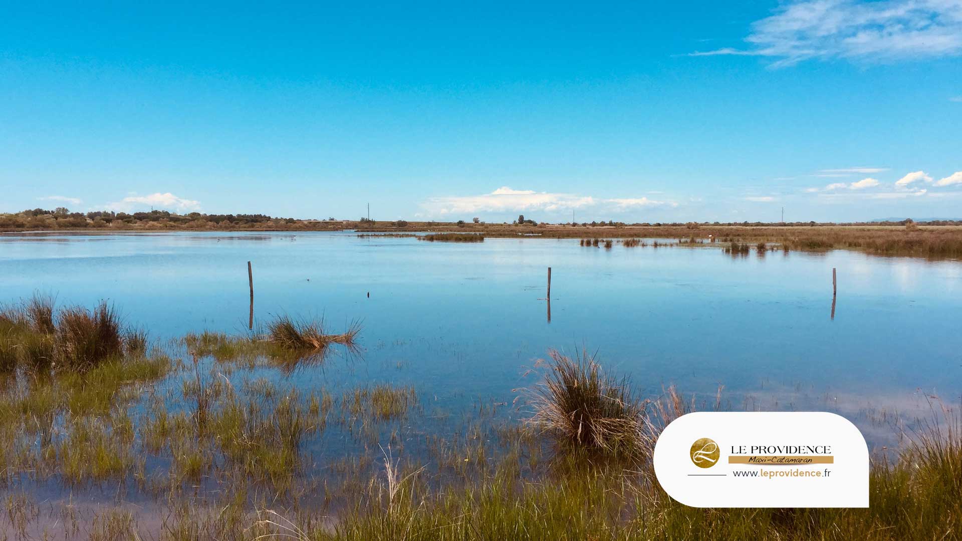 Découverte de la cote sauvage en Camargue