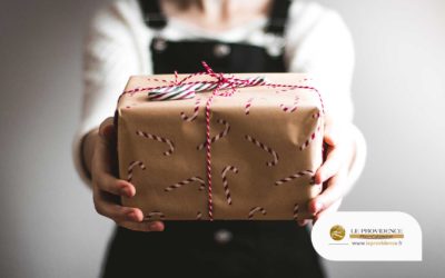 Lancez vos fêtes de fin d’année avec le cadeau idéal : 13 cadeaux expérientiels uniques et passionnants