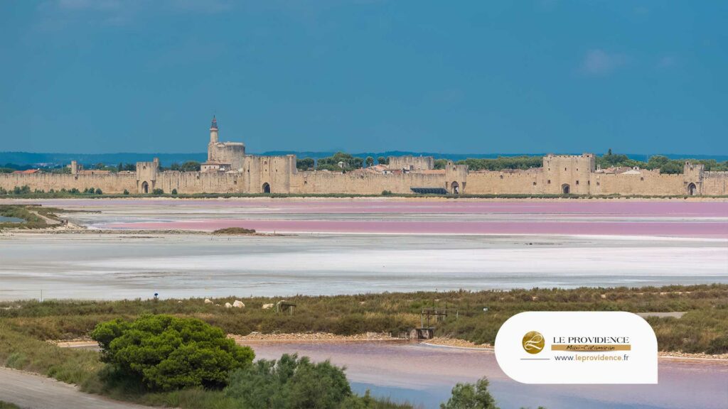 visite de aigues mortes - catamaran le providence au grau du roi