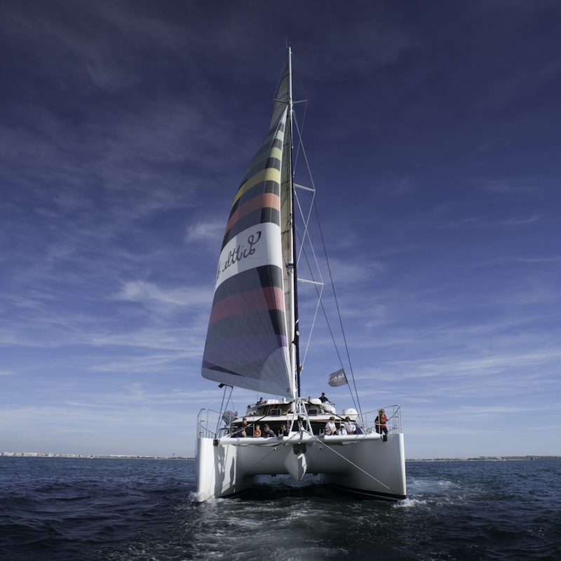 Le providence - catamaran le providence au grau du roi