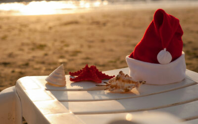 Blog - catamaran le providence au grau du roi Bon cadeau de Noël, sortie catamaran au Grau du Roi : dauphins, sunset ou pêche, quelle aventure offrir ?